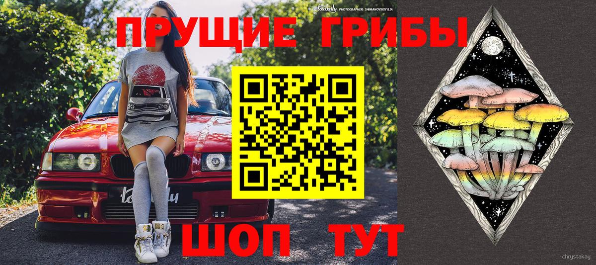 Долгопрудный  купить закладку  Вход с VPN  Галлюциногенные грибы Cubensis 
